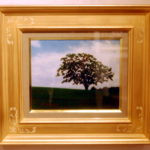 9a7b09a844df29739fc26dffb67da484